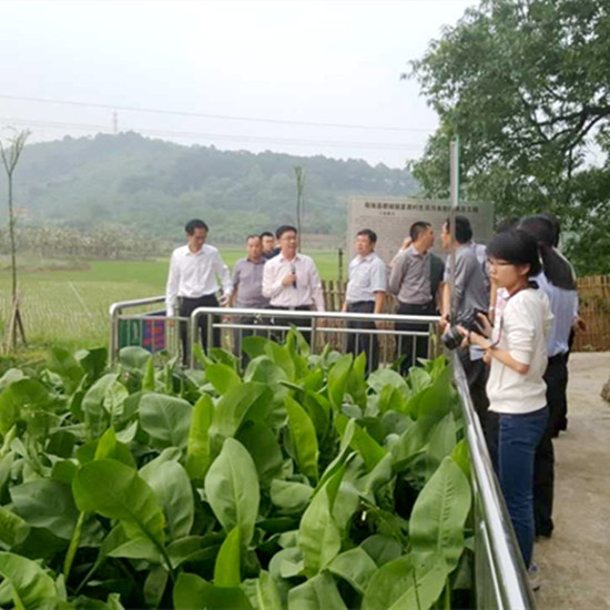 江门市考察调研组和电白区环保局考察组到我公司夏袭村、地心村两项目现场考察